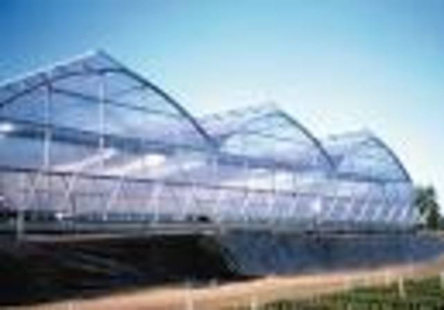 More and more greenhouses!