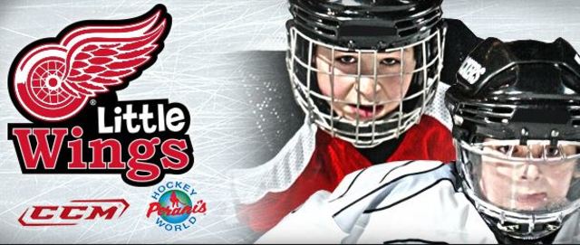 The little red wings