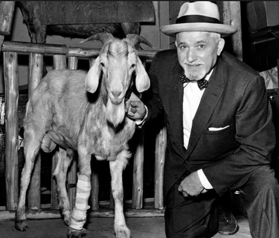 The curse of the Billy Goat