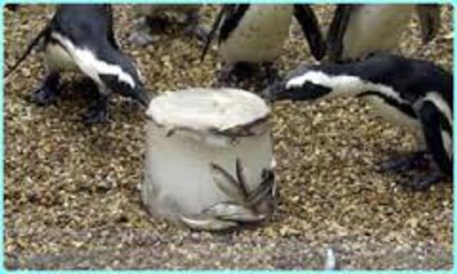 The First Ice Cream (kind of)