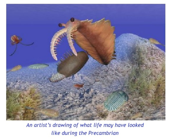 first known multicellular life appears