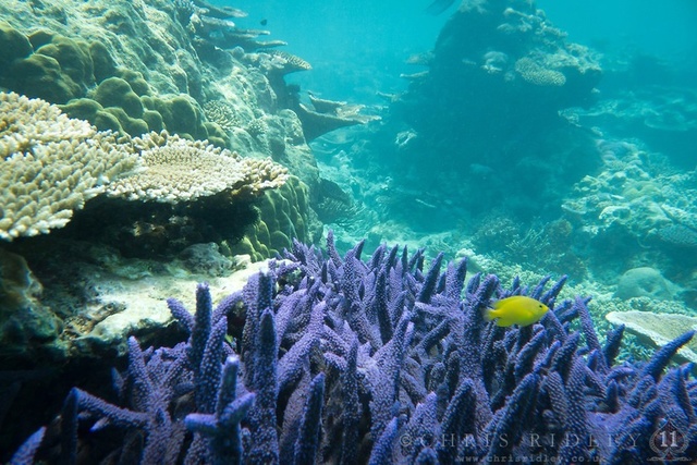 Modern, oxygen-rich atmosphere has formed