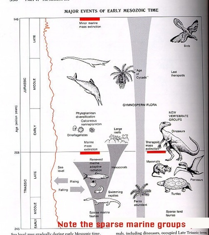 Pangaea begins to break apart