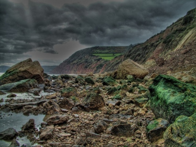 First mammals appear