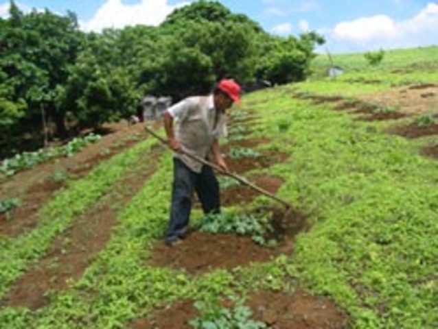 Economia De Subsistencia