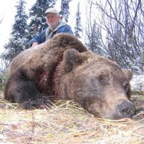 killing a grizzly bear