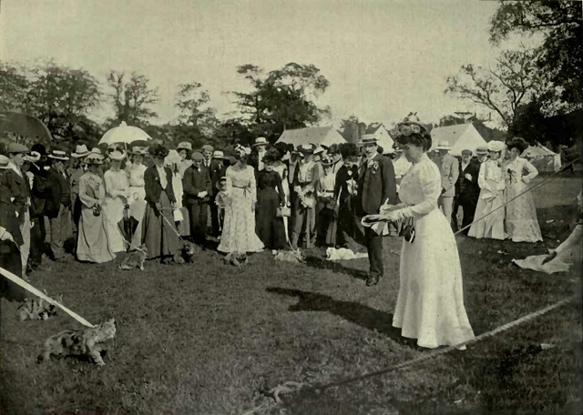 Frist Organizen cat show