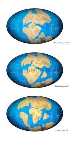 Pangea begins to break apart