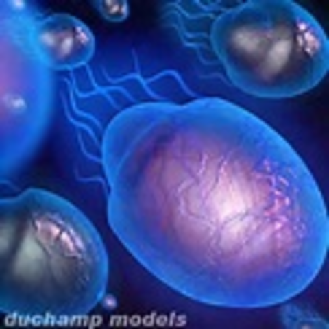 First known unicellular life appears