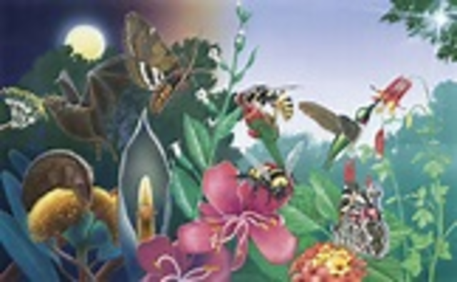 First flowering plants (angiospersm) appear.