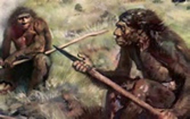 Most modern mammal families, hoofed animals, and primates have appeared.