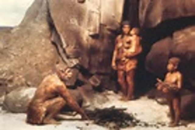 Modern humans appear.