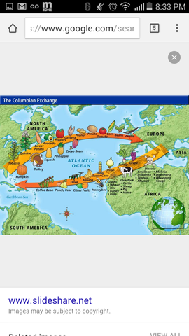 Unit 1( 1492-1750) The Columbian Exchange