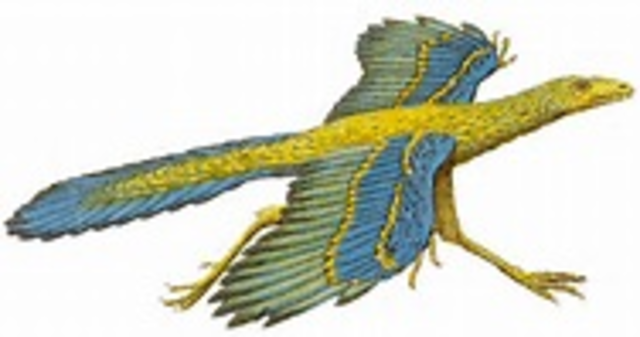 First Modern Birds Appear