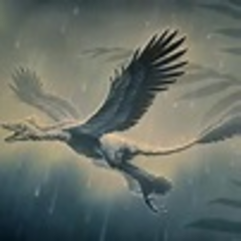 First Primative Birds Appear