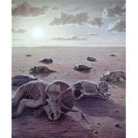 Dinosaurs become extinct