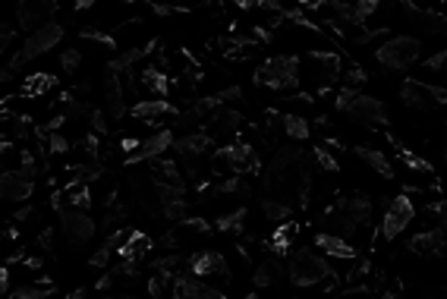 Pennsylvanian Period