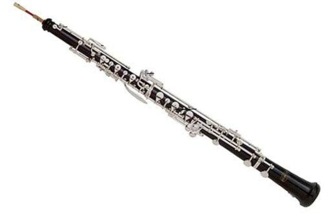 Started playing oboe