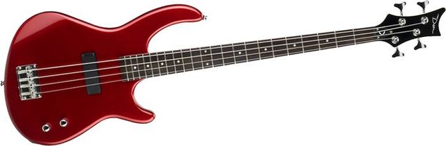 Started playing bass guitar