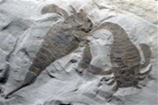 Silurian
