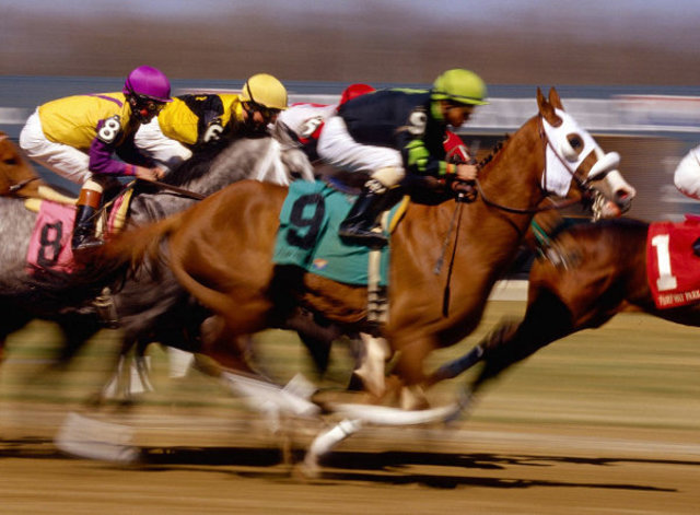 Stopuret benyttes i hestevæddeløb