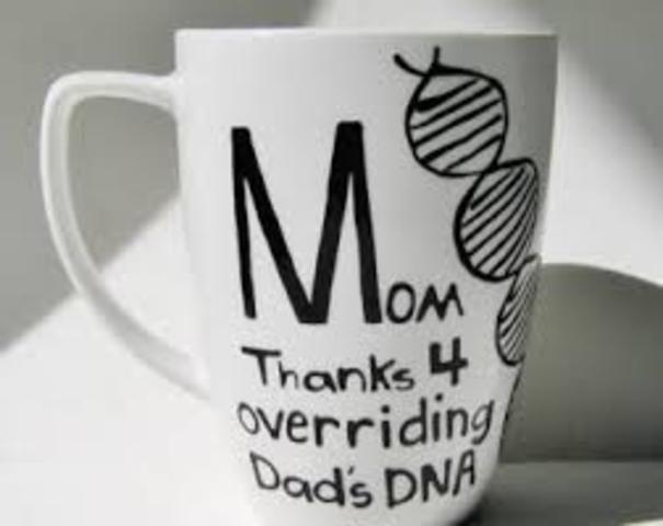 Seventeen Years Before