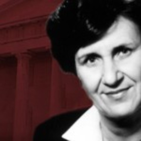 the sunflower still lifes