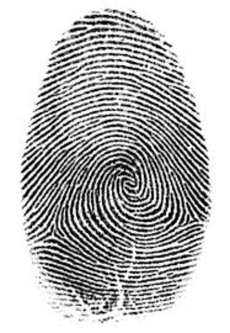 First use of fingerprints