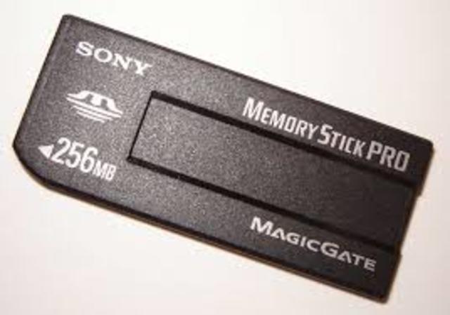 Memory Stick