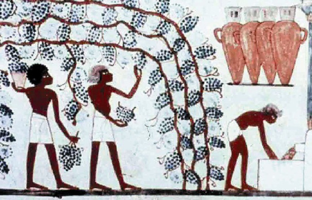 EL VINO EN EGIPTO A.C,