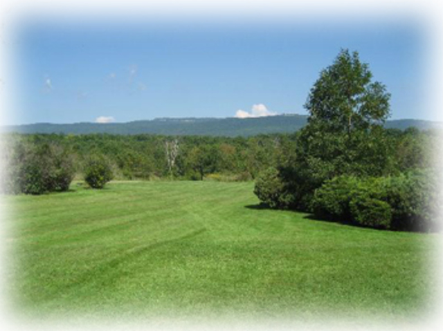 An Industrial Mill Is Leased For The Event