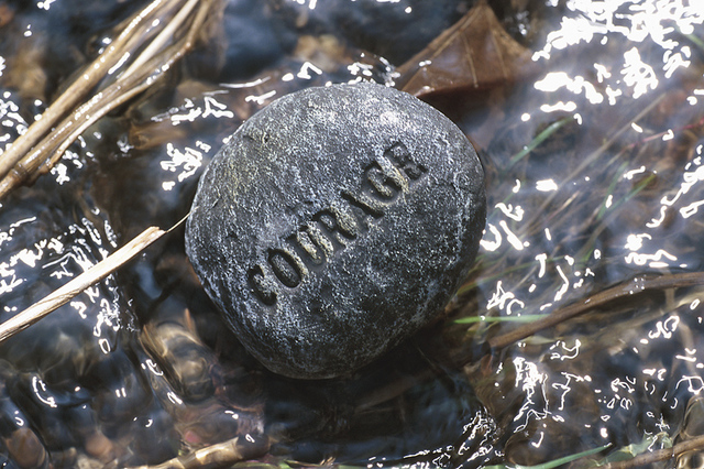Theme- Courage
