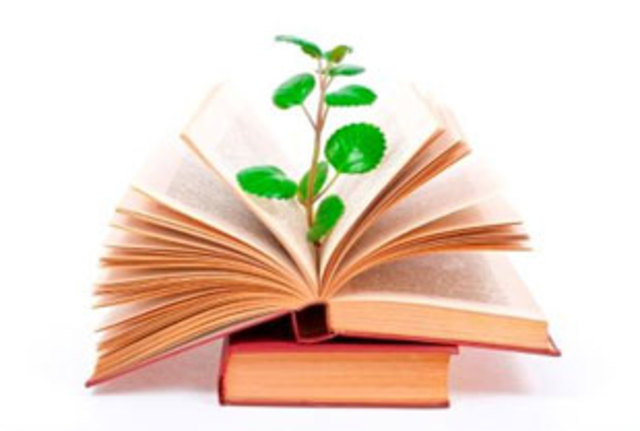 Red Deer College Bachelor of Education Program