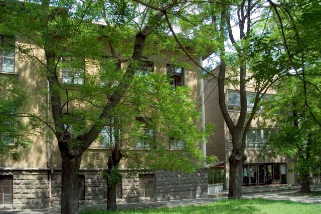 Starting my studies at Megyeri Primary School