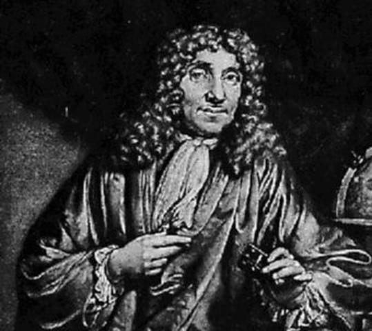 Leeuwenhoek's Discovery