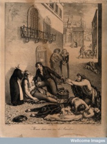 EPIDÈMIA DE FEBRE GROGA A BARCELONA