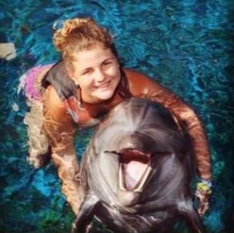 Swimming with dolphins