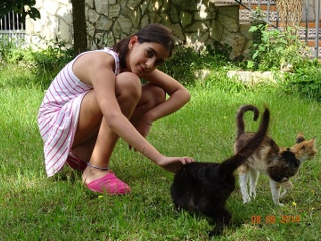 Jugando con los gatos