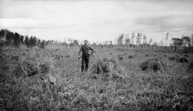 Alberta and Saskatchewan join Confederation