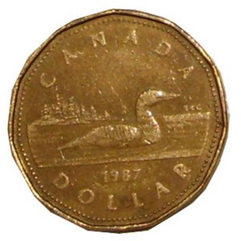 $1 coin