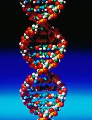 DNA Descovery
