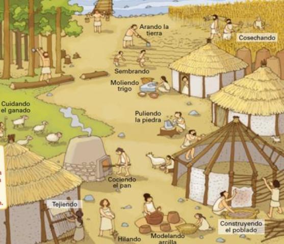 COMUNIDAD PRIMITIVA (A.C)