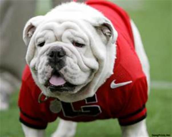 University of Georgia