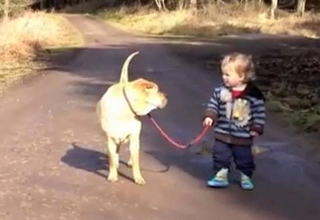 CANTIDADES CALÓRICAS Y RELACIÓN CON EL EJERCICIO FISICO  2-3 años