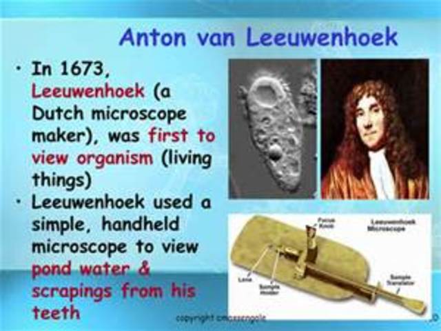 Anton Von Leeuwenhoek