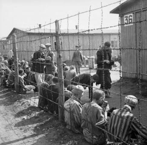 "Final Solution" Begins