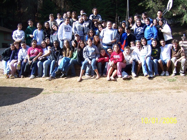 "Crowds and Cliques"