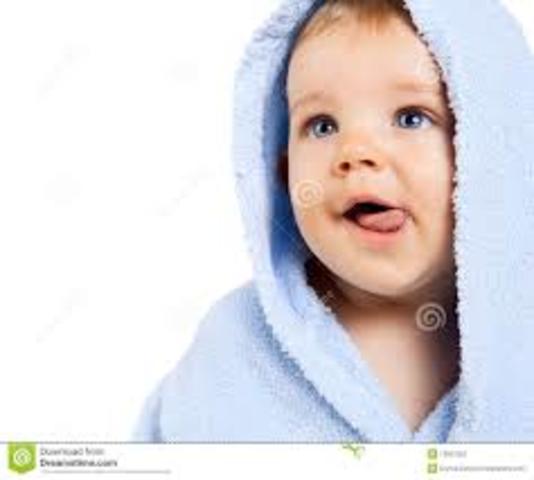 fits blocks, boxes, or nesting toys inside each other