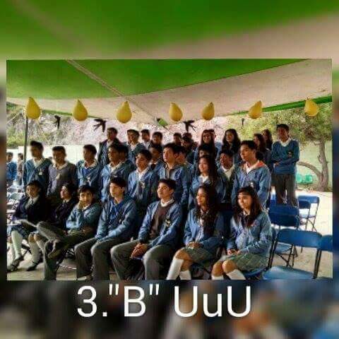 Termine mi secundaria