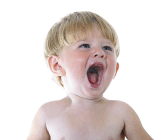 DESARROLLO DEL LENGUAJE